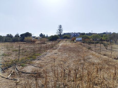 Αγροτεμάχια 2.500τ.μ. για πώληση-Αρκάδι » Αδελιανός κάμπος