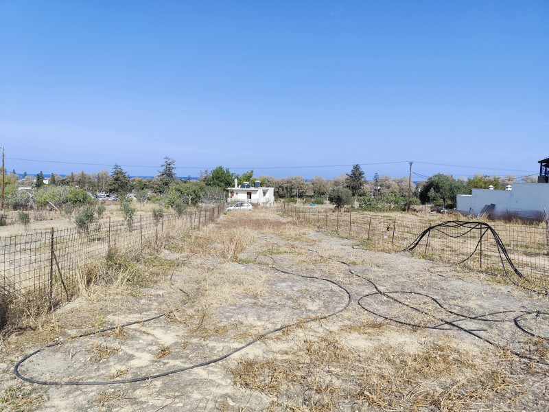 Αγροτεμάχια 2.500 τ.μ. πρός πώληση, Ν. Ρεθύμνου, Αρκάδι