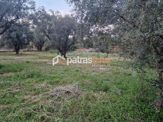 Οικόπεδο 2.000 τ.μ. για πώληση, Αχαΐα, Ωλένια-thumb-4
