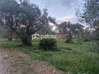 Οικόπεδο 2.000 τ.μ. για πώληση, Αχαΐα, Ωλένια-thumb-3