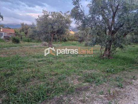 Οικόπεδο 2.000τ.μ. για πώληση-Ωλένια » Άγιος στέφανος