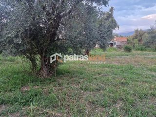 Οικόπεδο 2.000 τ.μ. για πώληση, Αχαΐα, Ωλένια-thumb-5