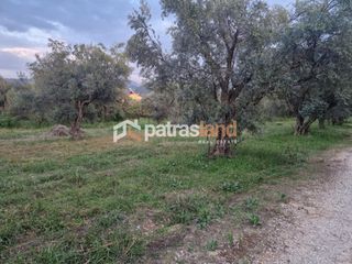 Οικόπεδο 2.000 τ.μ. για πώληση, Αχαΐα, Ωλένια-thumb-1
