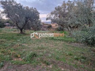 Οικόπεδο 2.000 τ.μ. για πώληση, Αχαΐα, Ωλένια-thumb-6