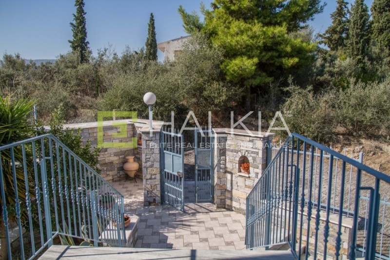 Βίλλα 442 τ.μ. προς πώληση, Νέες Παγασές