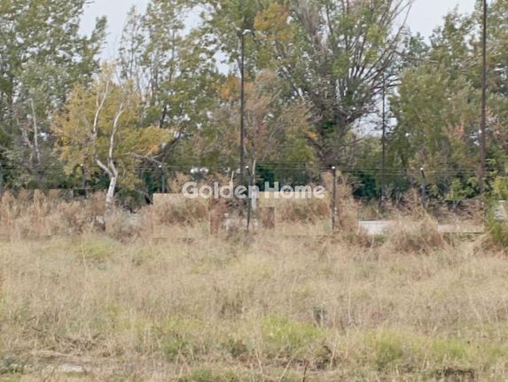 Land plot 5.000 sqm for rent, Thessaloniki - Suburbs, Pylea