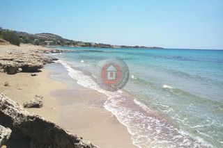 Αγροτεμάχια 2.000 τ.μ. για πώληση