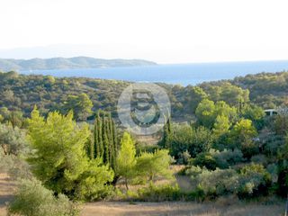 Βίλλα 400 τ.μ. για πώληση, Αργολίδα, Κρανίδι-thumb-2