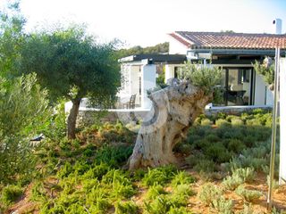 Βίλλα 400 τ.μ. για πώληση, Αργολίδα, Κρανίδι-thumb-14