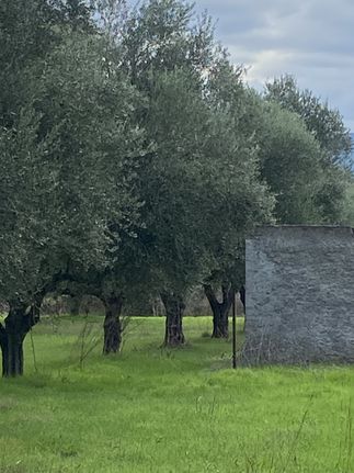 Αγροτεμάχια 34.000 τ.μ. για πώληση, Μεσσηνία, Μελιγαλά