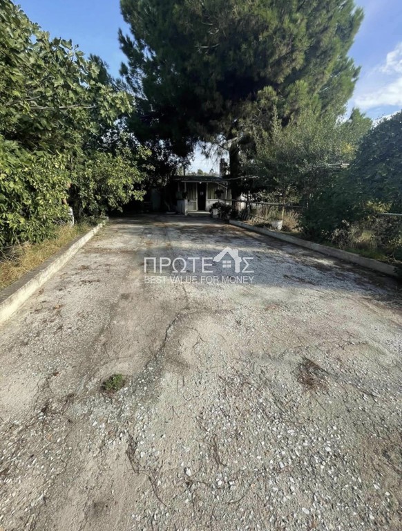 Μονοκατοικία 91 τ.μ. πρός πώληση, Αττική - Υπόλοιπο, Ραφήνα