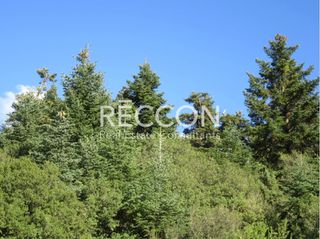 Αγροτεμάχια 8.700 τ.μ. για πώληση, Αρκαδία, Βιτίνα-thumb-15