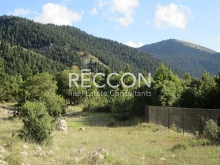 Αγροτεμάχια 8.700 τ.μ. για πώληση, Αρκαδία, Βιτίνα-thumb-9