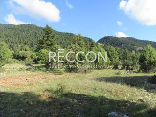 Αγροτεμάχια 8.700 τ.μ. για πώληση, Αρκαδία, Βιτίνα-thumb-7