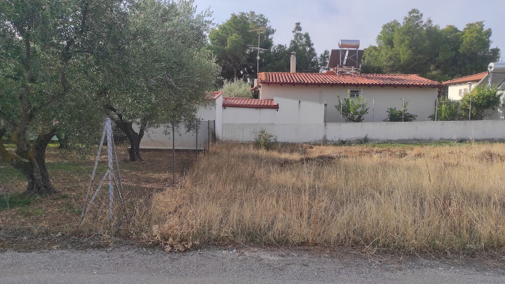 Αγροτεμάχια 516,85 τ.μ. πρός πώληση, Εύβοια, Ερέτρια