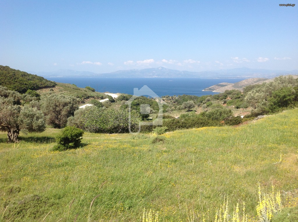 Οικόπεδο 20.068 τ.μ. προς πώληση, Νιμπορειό