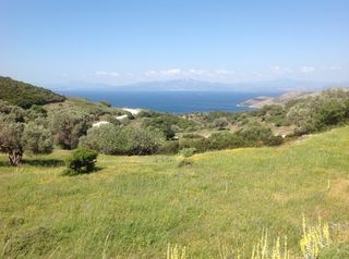 Οικόπεδο 20.068 τ.μ. για πώληση