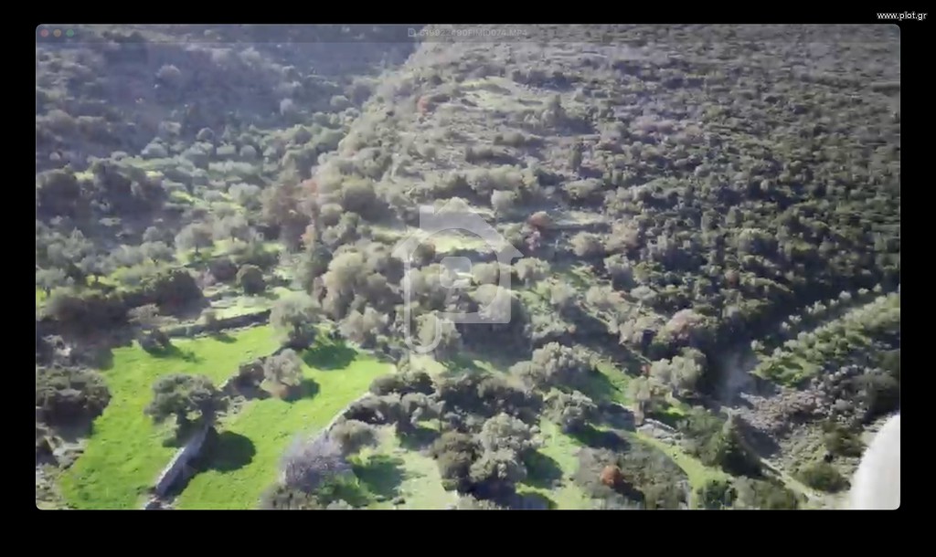 Οικόπεδο 20.068 τ.μ. προς πώληση, Νιμπορειό