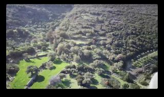 Οικόπεδο 20.068 τ.μ. προς πώληση, Νιμπορειό-thumb-3