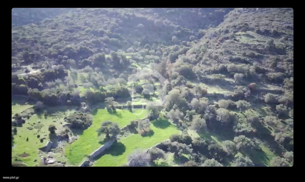 Οικόπεδο 20.068 τ.μ. προς πώληση, Νιμπορειό