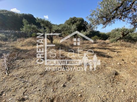 Αγροτεμάχια 2.000 τ.μ. για πώληση