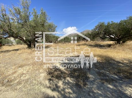 Αγροτεμάχια 4.000 τ.μ. για πώληση