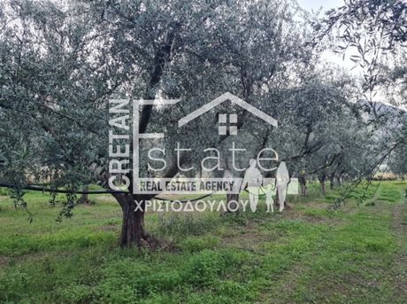 Αγροτεμάχια 5.000 τ.μ. για πώληση