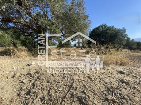 Αγροτεμάχια 5.000 τ.μ. για πώληση