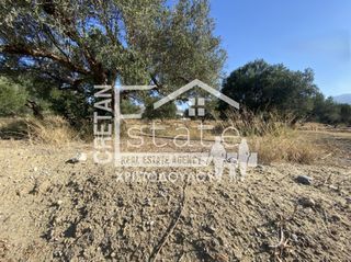 Αγροτεμάχια 5.000 τ.μ. για πώληση