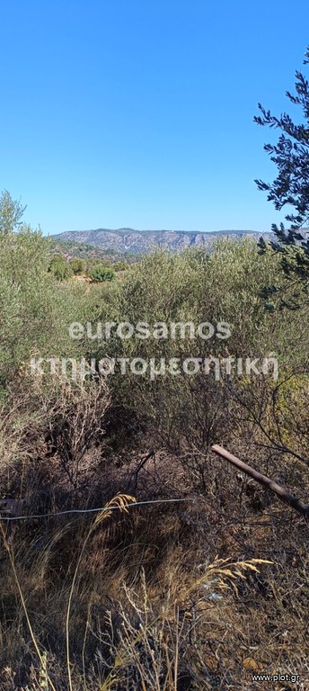Άλλο 23.000 τ.μ. για πώληση, Ν. Σάμου, Σάμος