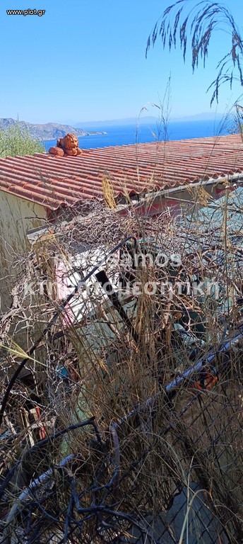 Γη 23.000 τ.μ. πρός πώληση, Ν. Σάμου, Σάμος