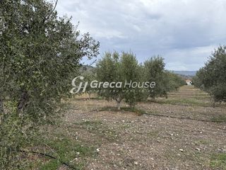 Οικόπεδο 8.000 τ.μ. για πώληση, Αργολίδα, Ερμιόνη-thumb-11