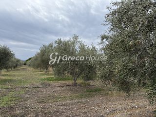 Οικόπεδο 8.000 τ.μ. για πώληση, Αργολίδα, Ερμιόνη-thumb-20