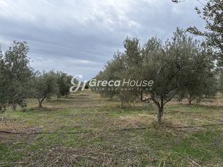 Οικόπεδο 8.000 τ.μ. για πώληση, Αργολίδα, Ερμιόνη-thumb-19