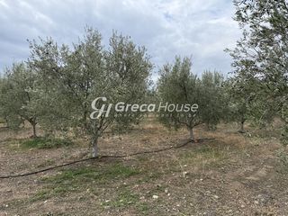 Οικόπεδο 8.000 τ.μ. για πώληση, Αργολίδα, Ερμιόνη-thumb-16