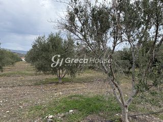 Οικόπεδο 8.000 τ.μ. για πώληση, Αργολίδα, Ερμιόνη-thumb-14
