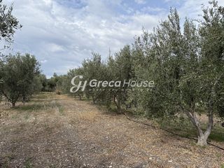 Οικόπεδο 8.000 τ.μ. για πώληση, Αργολίδα, Ερμιόνη-thumb-24