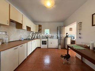 Οικόπεδο 8.000 τ.μ. για πώληση, Αργολίδα, Ερμιόνη-thumb-12
