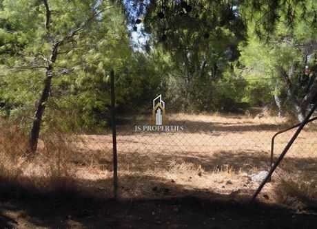 Οικόπεδο 800 τ.μ. προς πώληση