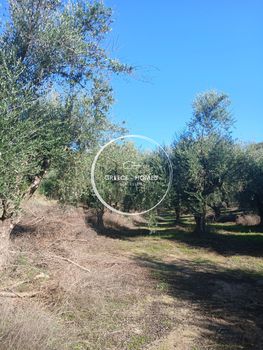 Αγροτεμάχια 18.000τ.μ. για πώληση-Καλαμάτα » Αβραμίου