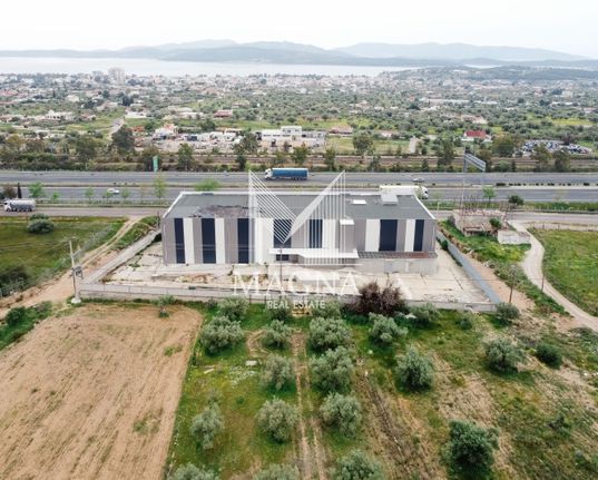 Industrial space 3.235 sqm for rent, Rest Of Attica, Nea Peramos (megalo Pefko)