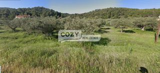 Αγροτεμάχια 5.200 τ.μ. για πώληση