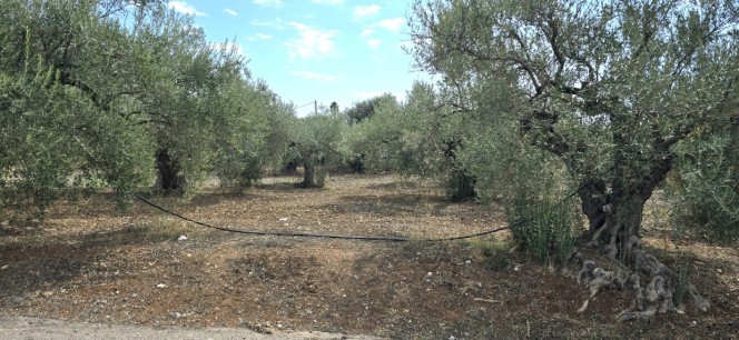 Οικόπεδο 1.026 τ.μ. προς πώληση, Πυργιώτικα