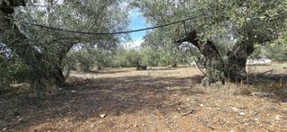 Οικόπεδο 1.026 τ.μ. προς πώληση, Πυργιώτικα-thumb-9