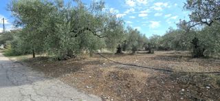 Οικόπεδο 1.026 τ.μ. προς πώληση, Πυργιώτικα-thumb-12