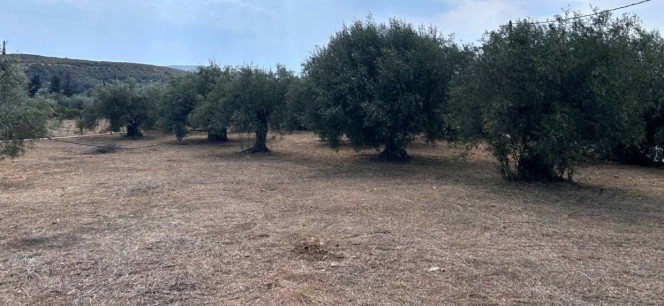 Οικόπεδο 1.026 τ.μ. προς πώληση, Πυργιώτικα