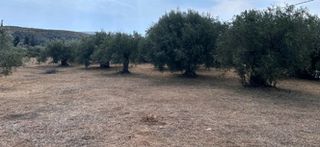 Οικόπεδο 1.026 τ.μ. προς πώληση, Πυργιώτικα-thumb-2