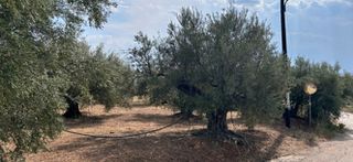 Οικόπεδο 1.026 τ.μ. προς πώληση, Πυργιώτικα-thumb-1