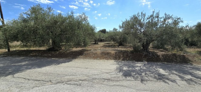 Οικόπεδο 1.026 τ.μ. προς πώληση, Πυργιώτικα