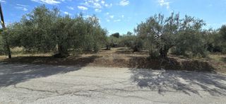 Οικόπεδο 1.026 τ.μ. προς πώληση, Πυργιώτικα-thumb-4